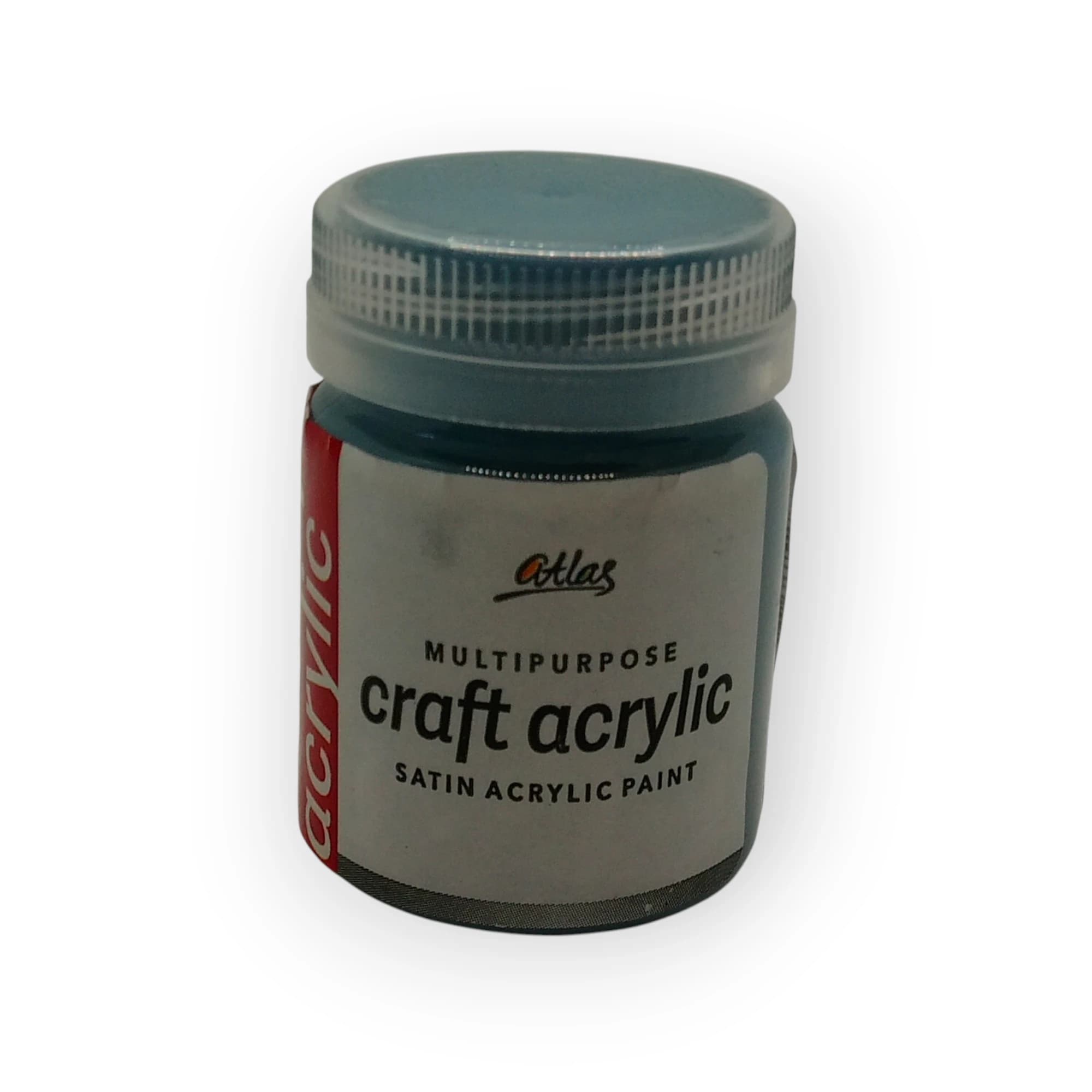 Atlas Paint Dolphin