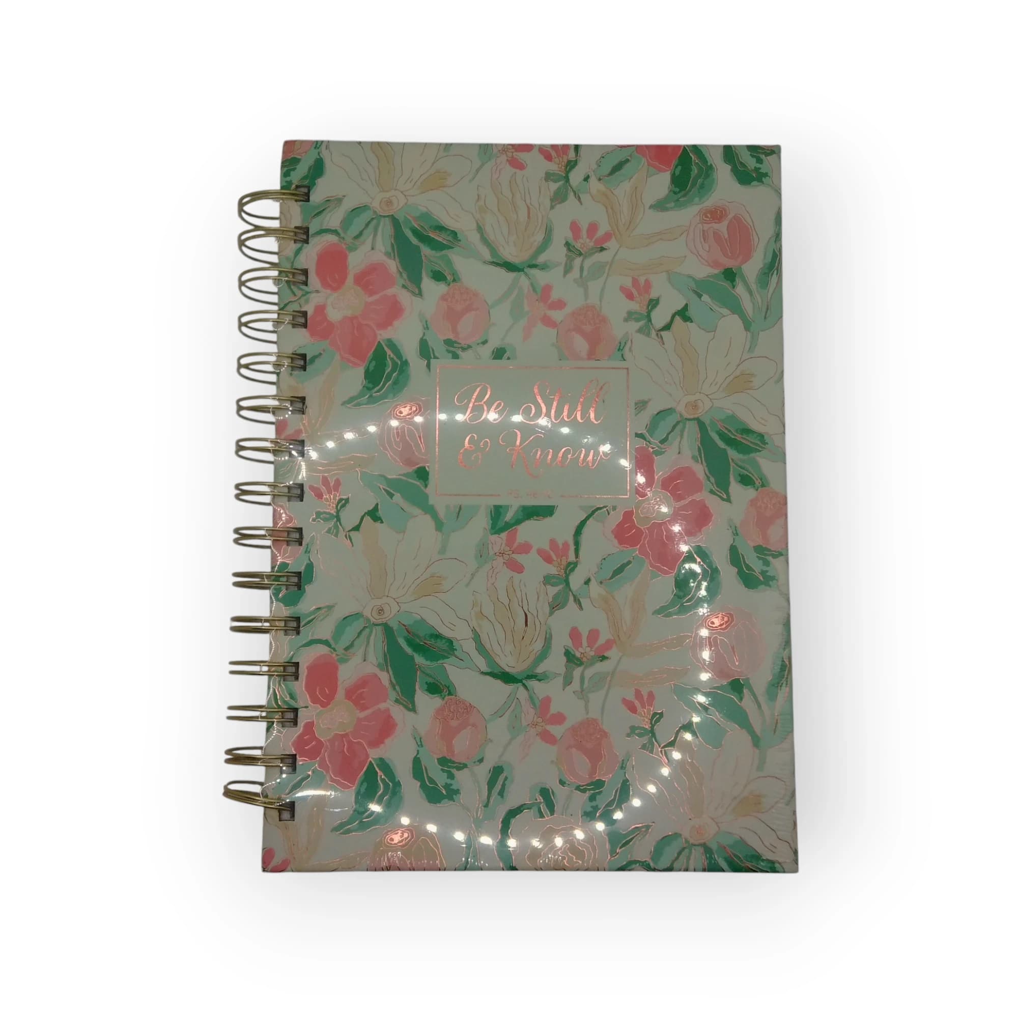 BIBLE JOURNAL